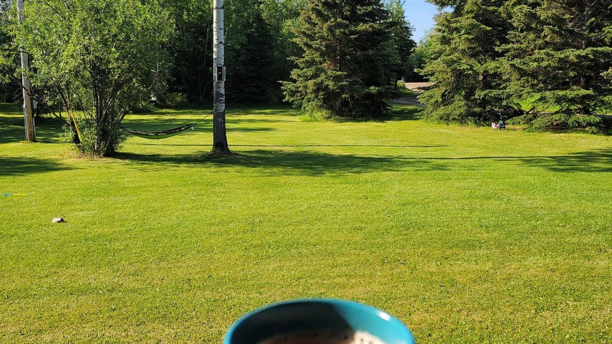 Peace River Regional District Other | Bright & Cozy One Bedroom Suite