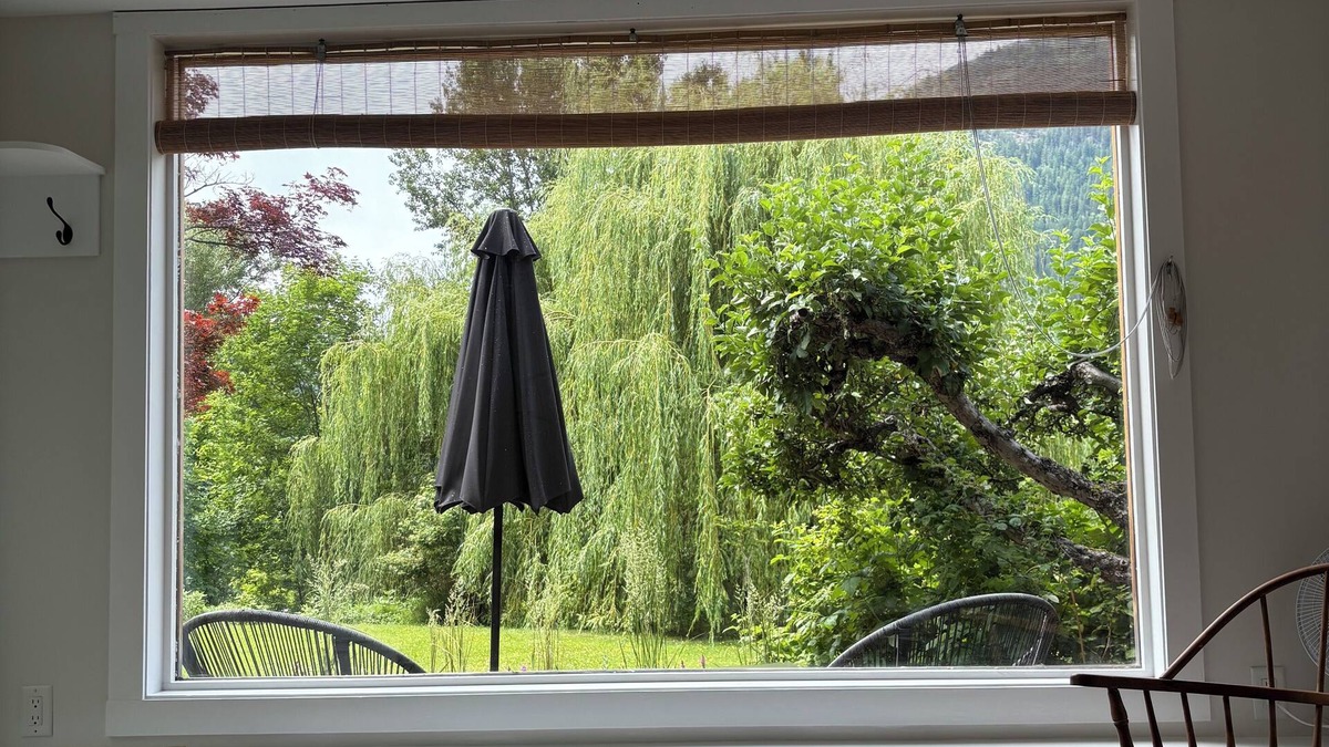 Nelson House | Bright Lakeside Retreat: King Bed & Willow Views