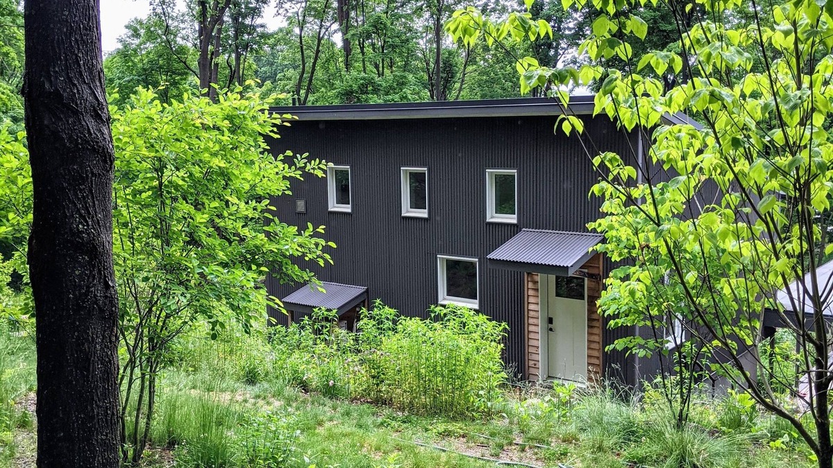 Nelsonville Apartment | Bright/modern escape : nestled in the forest, walk to the village & train
