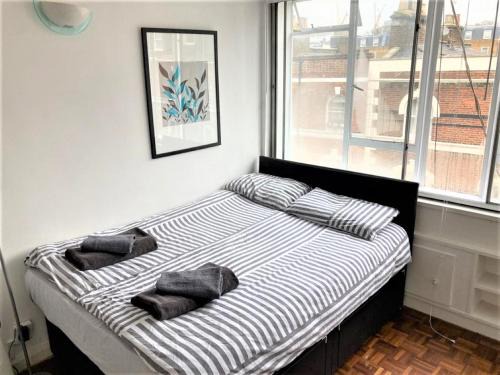 Bayswater Apartment | Bright & Modern Studio flat in Paddington - Zone 1