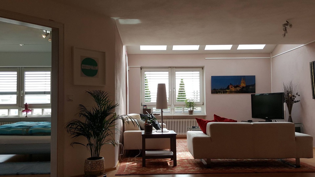 Regensburg Apartment | Bright Sunny, and spacious apartment overlooking the Danube in Regensburg