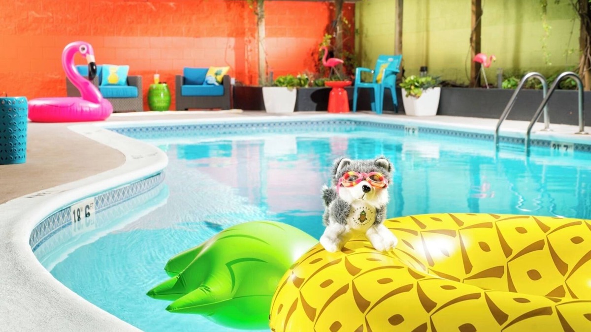 University District Hotel | Bright Two Queen Stay, Near Burke Museum, Staypineapple, 2 Rooms
