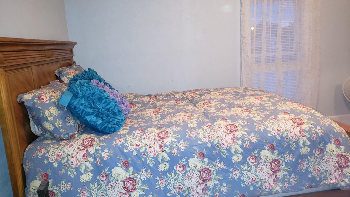 Mount Clemens House | Bright, upper flat large bedroom, large closet & sitting area