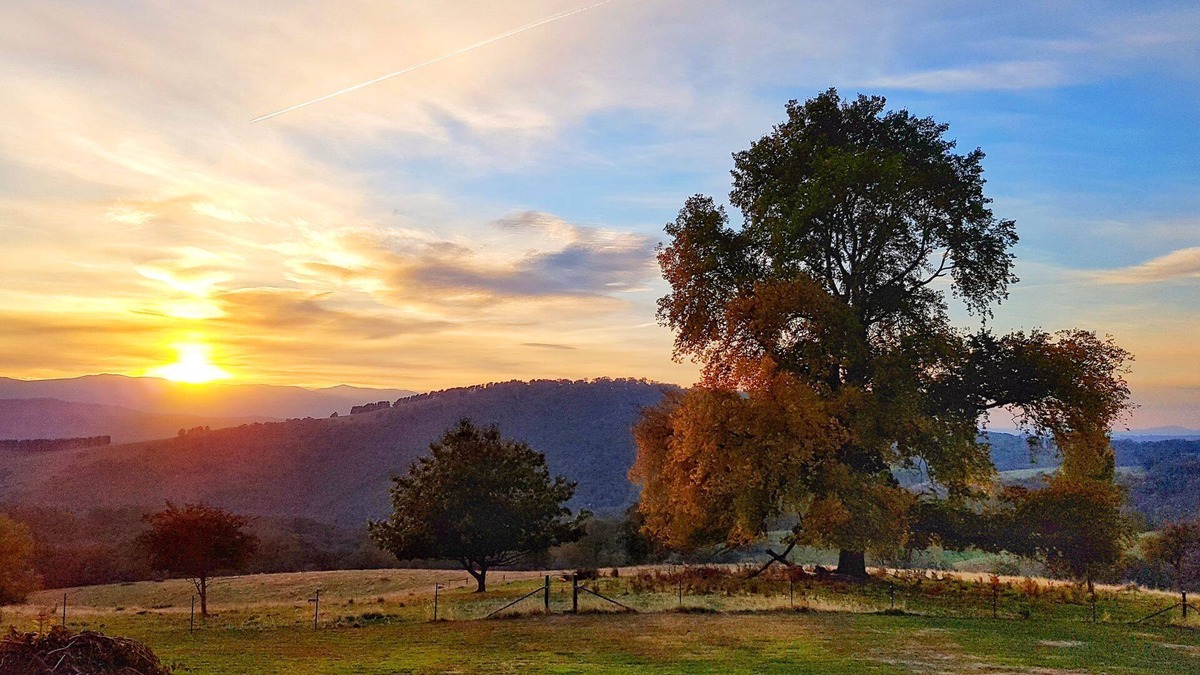 Snowy Valleys Council Other | Brindabella Farmstay