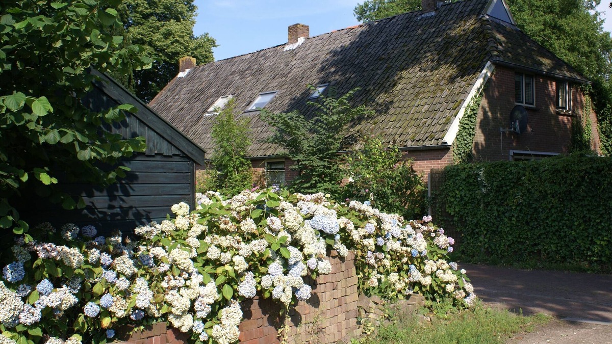 Diever Other | British/Dutch Owned Former Farmhouse (1836) near Picturesque National Park