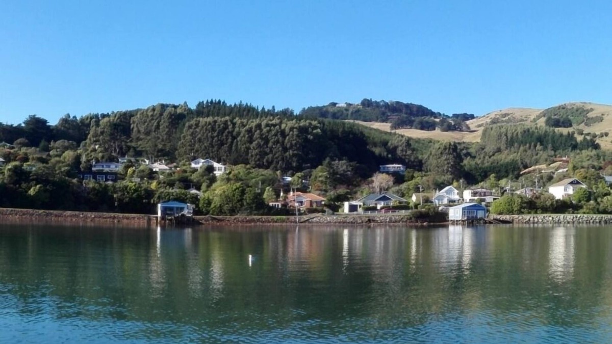 Dunedin House | Broadbay paradise, ever changing harbour views