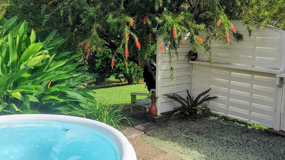 Sainte-Marie Apartment | Bromeliads at Djo and Rosy's