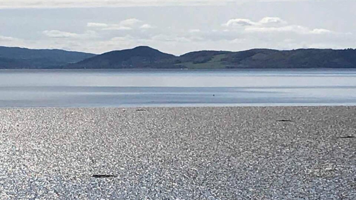 Balloch Bed & Breakfast | Broomlea
