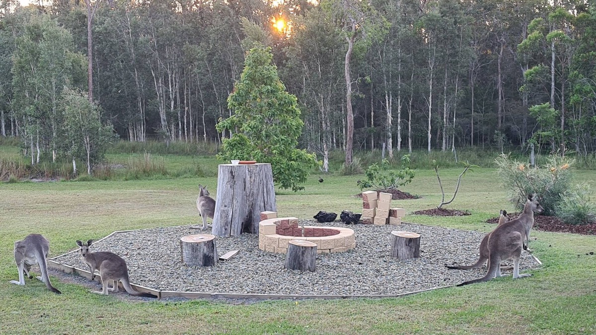 Gulmarrad Apartment | Brooms head Retreat accomodation