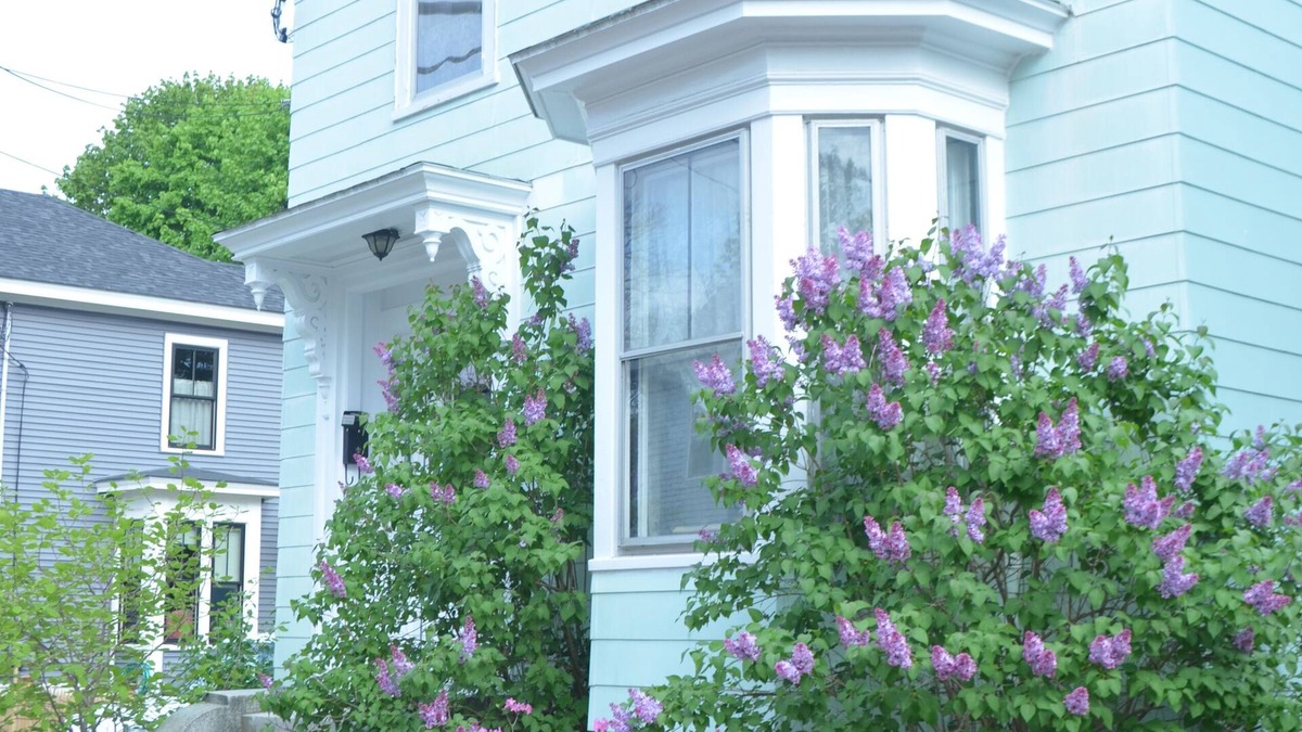 Brunswick House | Brunswick!