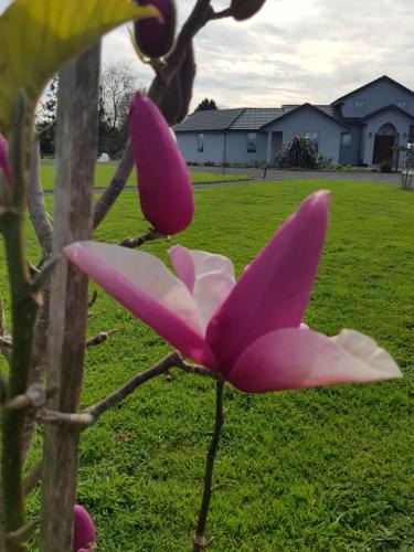Tamahere Bed & Breakfast | Bruntwoodlodge
