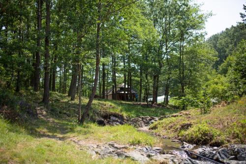 Central Serbia Ski Chalet | Brvnara Mila Vila