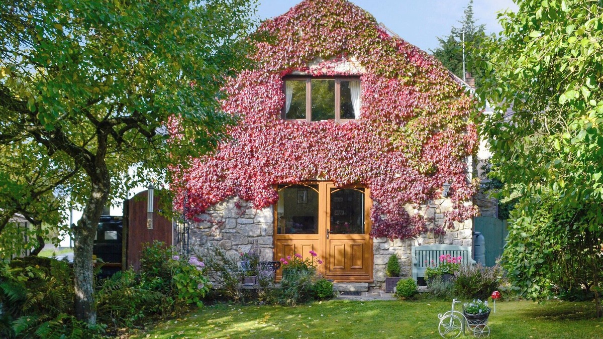 Mold Cottage | Bryn Dedwydd Cottage