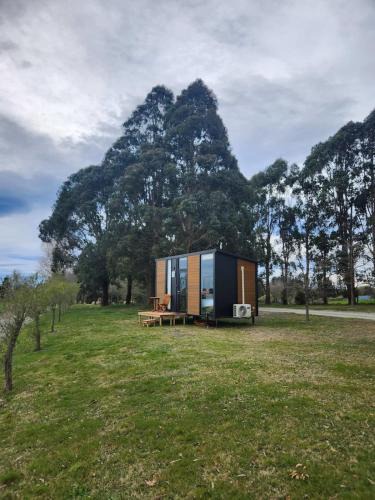 Timaru House | Brynderwyn Hill of Oaks by Tiny Away