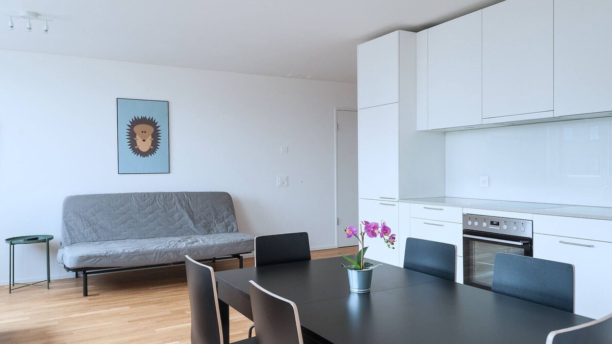 Basel City Centre Apartment | BS Hedgehog V - Messe HITrental Apartment