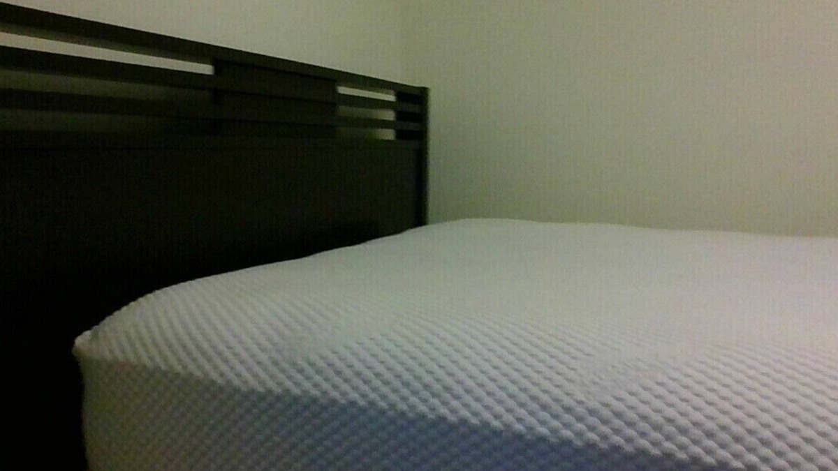 Carrollwood Bed & Breakfast | Bubble Space Pub