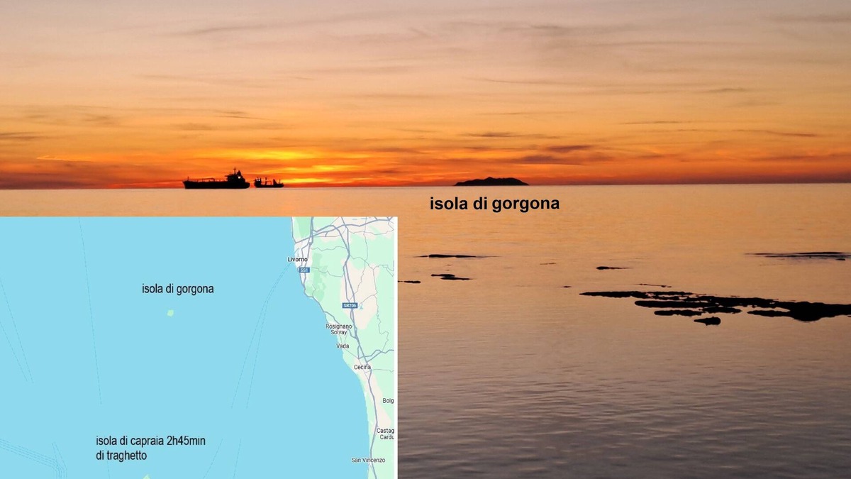 Livorno Apartment | Bubi's Apartment, Intero Appartamento di 65mq