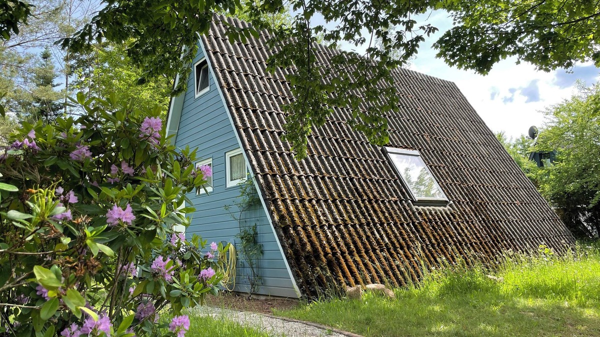Feriendorf Eichwald House | Bude 101 - Dream house in the middle of the Palatinate Forest