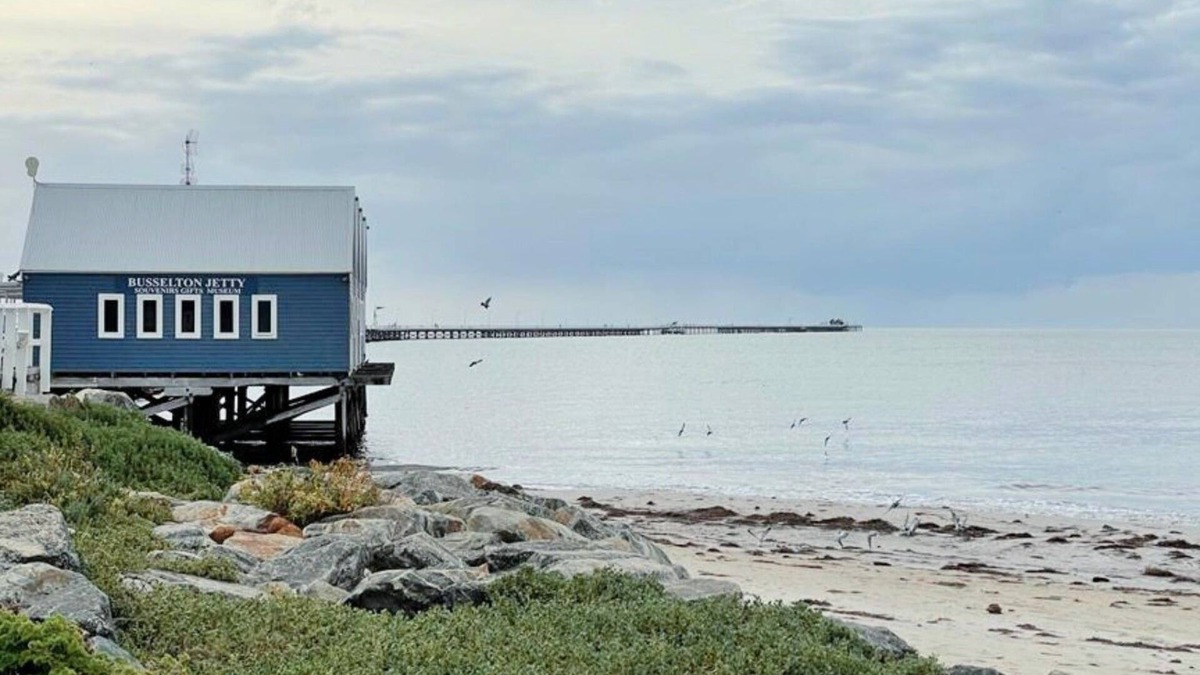 Broadwater Cabin | Budgie Smuggler - Cabin 96 GBHP