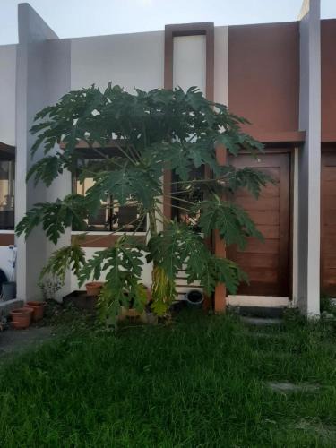 Dumaguete House | Buds Place