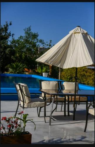 Chicoana Hotel | Buenas Vibras Hostería Rural