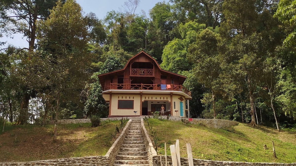 Bohorok Bed & Breakfast | Bukit Lawang Wonderful bed & breakfast Rimba House in Batu Kapal North Sumatra