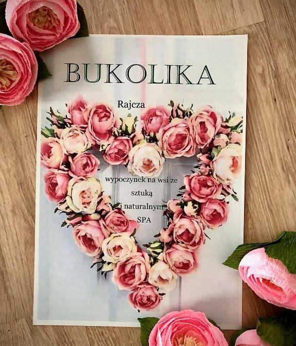 Rajcza House | BUKOLIKA
