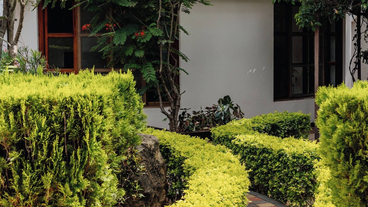 Santa Lucia del Camino House | Bule Villas 2 Bedroom-2 Bath Beautiful "Dylan's Corner"