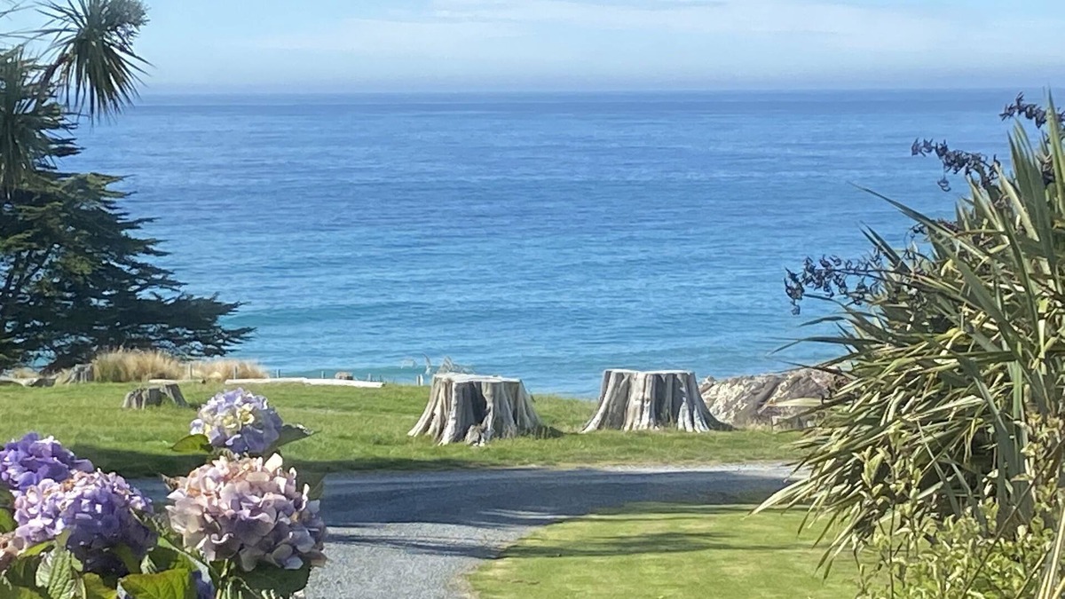 Clutha District House | Bull Creek Bach - Stunning Ocean view!