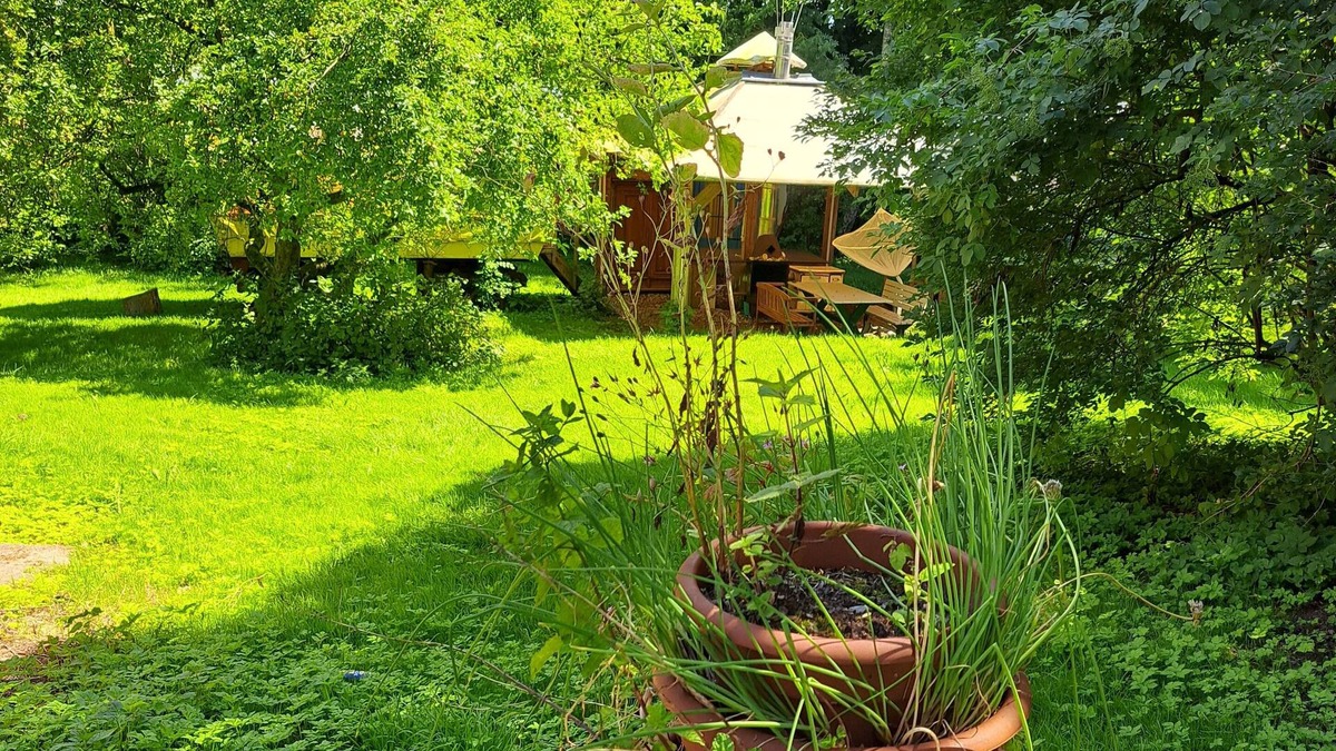 Carinerland House | Bungalow for 6 guests with 100m² in Danneborth (58272)
