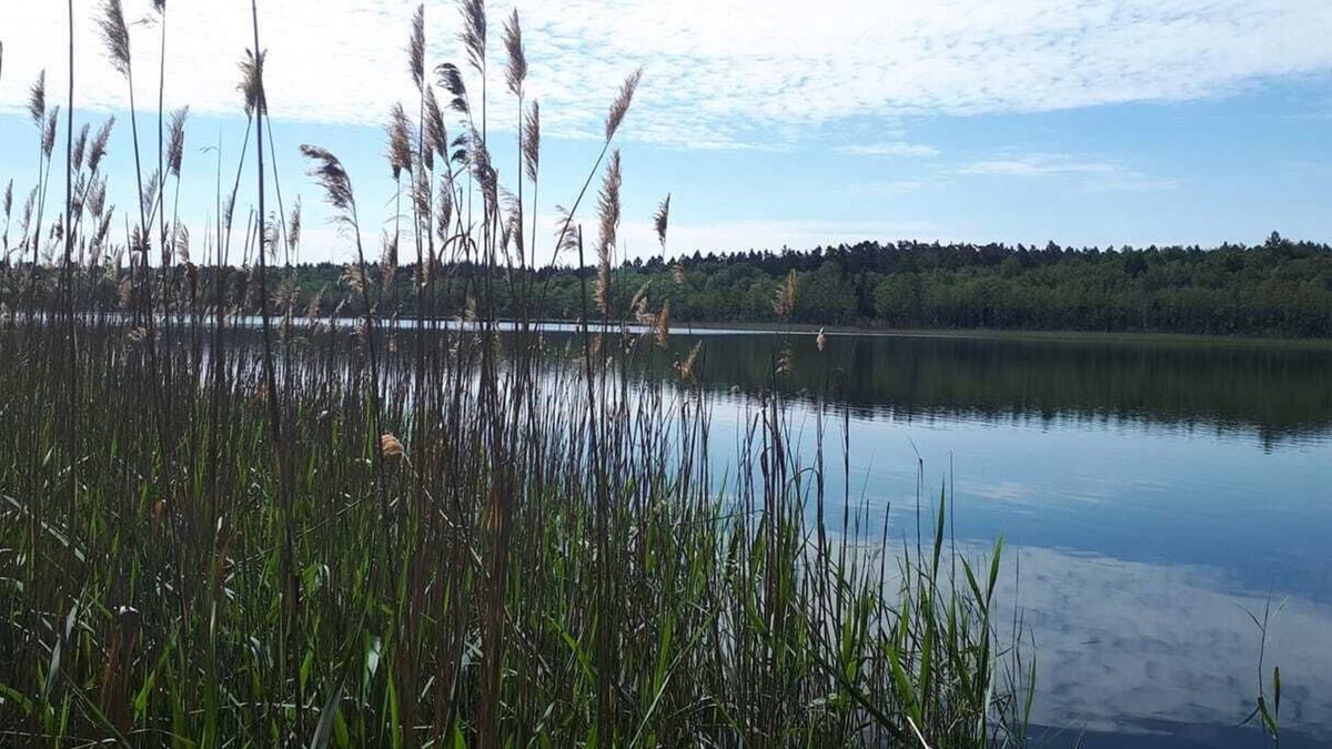 Murchin House | Bungalow by the lake in the nature reserve near the island of Usedom