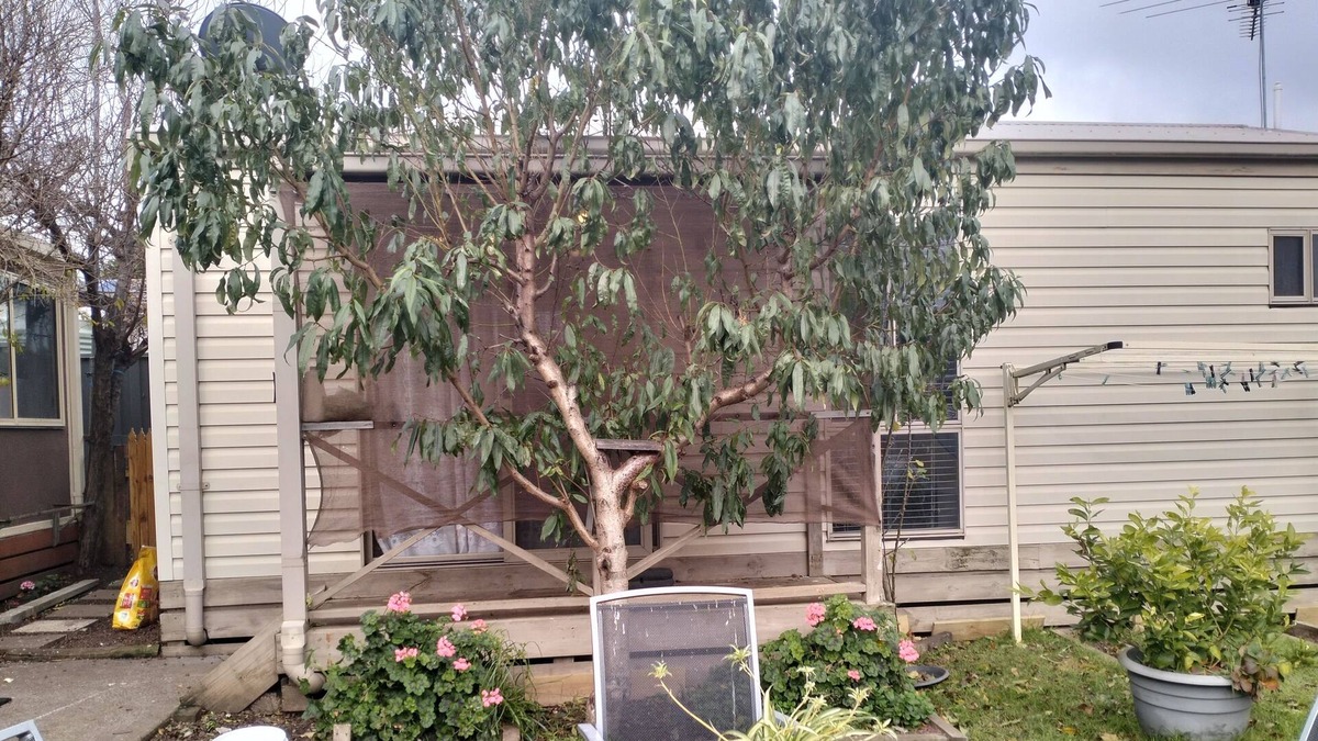Meadow Heights House | Bungalow Cosystay: Cosy Little Place Overlooking the Back Yard Garden