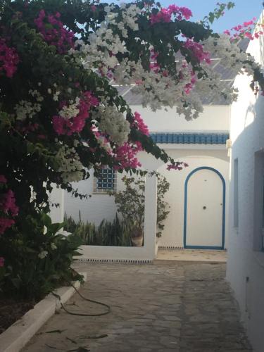 Hammamet Sud Apartment | BUNGALOW El HOUDA