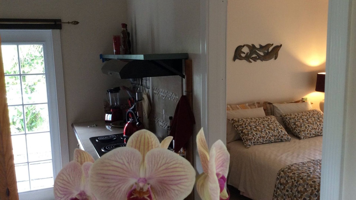 Kapoho House | Bungalow only 2 blocks from the ocean (Cliff) with private patio & OCEAN VIEW