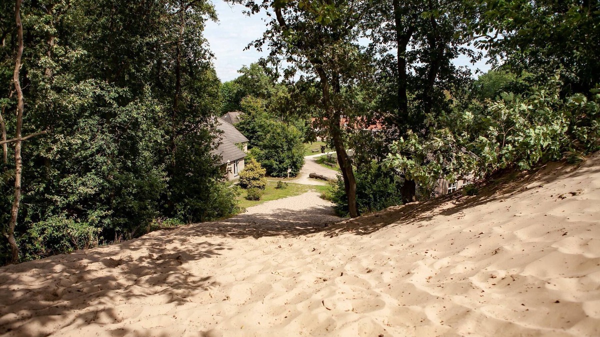 Uden House | Bungalow With a Terrace at Bedafse Bergen
