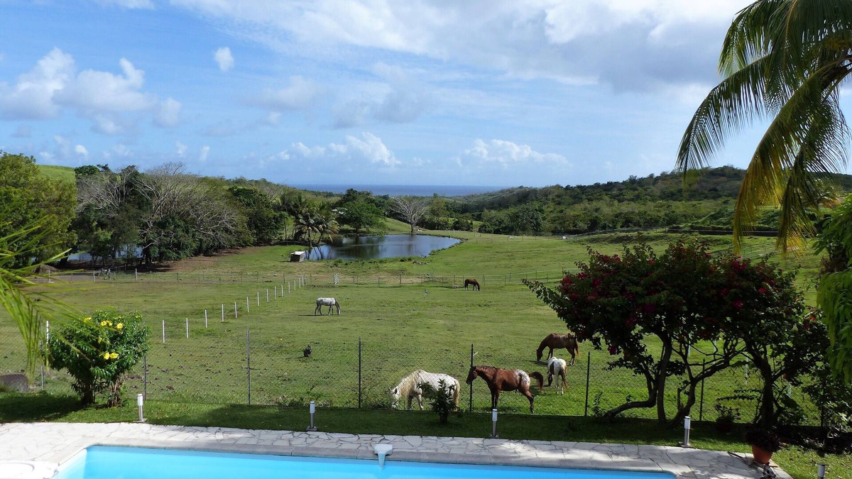 Riviere-Salee House | Bungalow Wood River Salt meadows overlooking the Caribbean sea and countryside