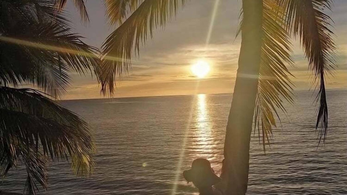 Nosy Tanihely Hotel | Bungalows Des Tropiques
