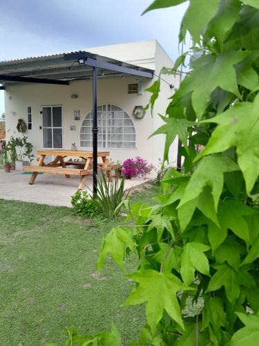 San Pedro House | Bungalows La Nicasia de San Pedro