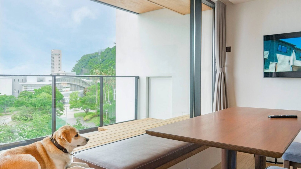 Atami Hotel | Bunk bed RoomDog fliendly1offsite parking lot/Atami Shizuoka
