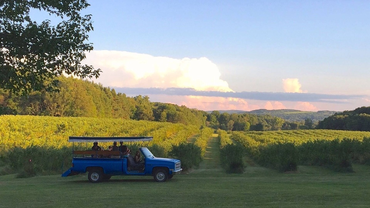 Collins Center House | Burdick Blueberry Farm Guest House
