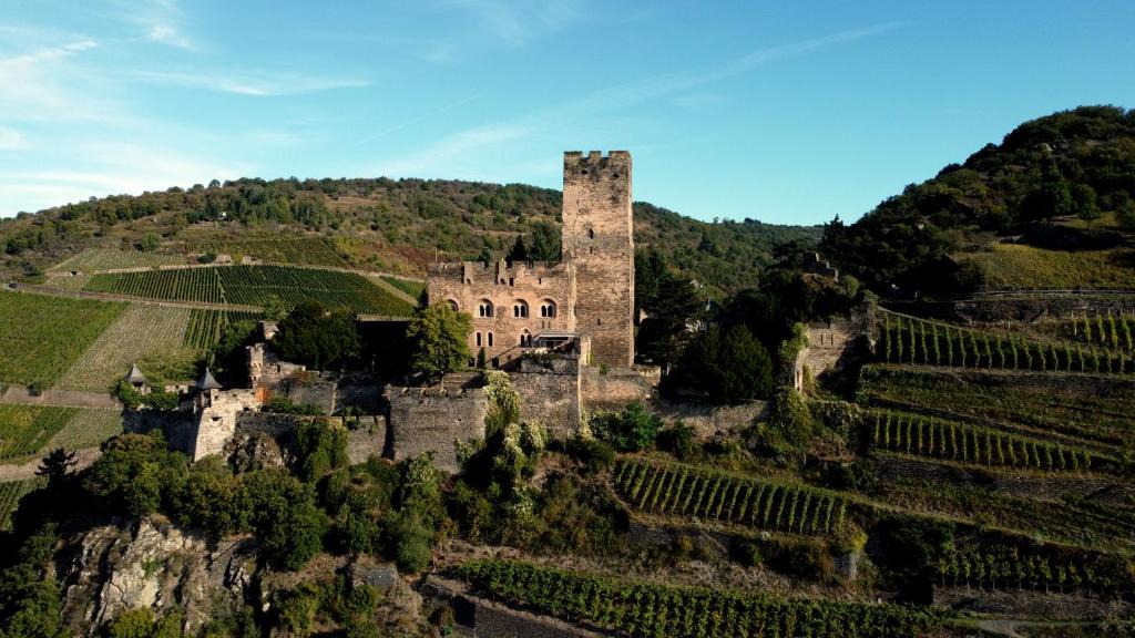 Mainz-Bingen Hotel | Burg Gutenfels
