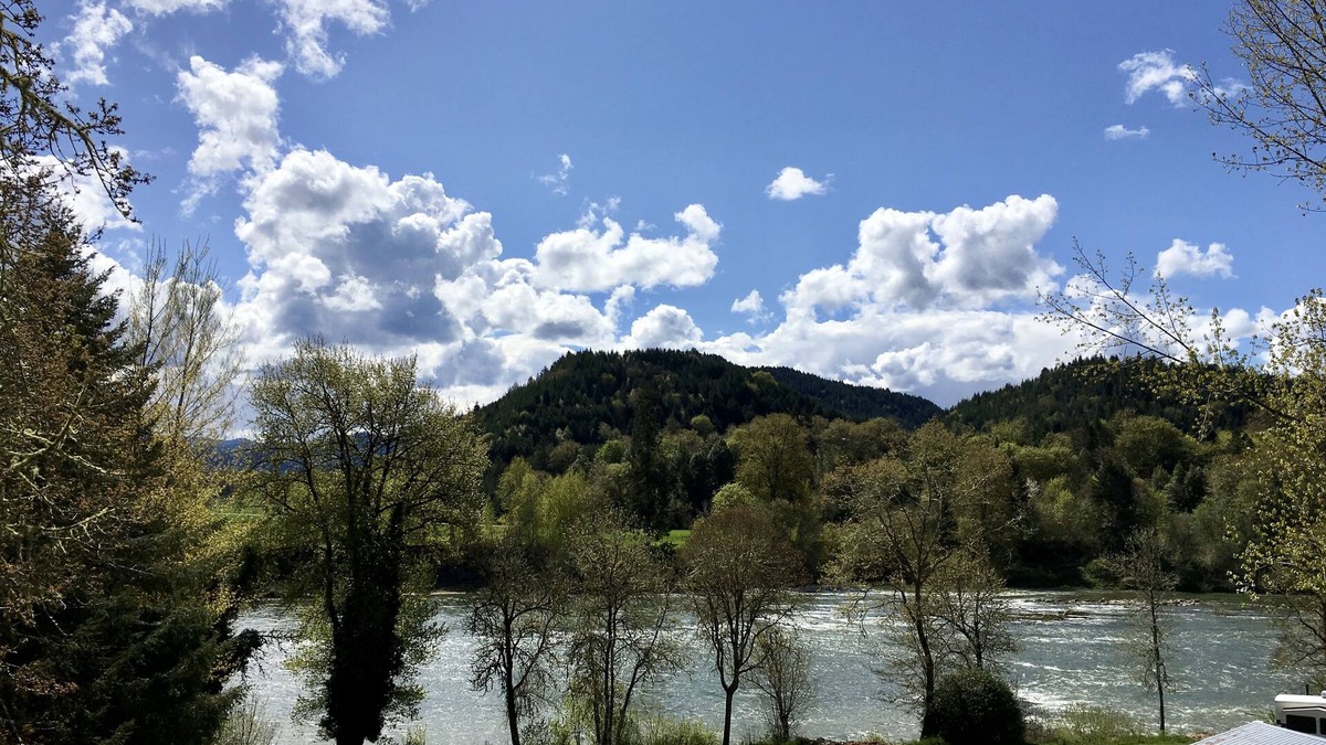 Elkton House | Burke's River View Vacation Rental Home