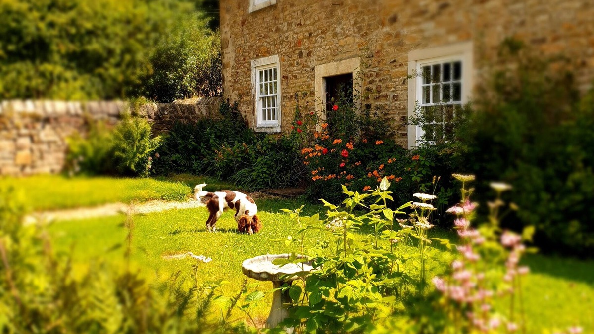 Durham Bed & Breakfast | Burnhopeside Hall