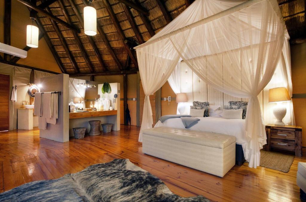 Paterson Other | Bush Lodge – Amakhala Game Reserve