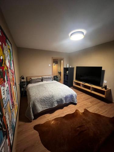 Jelgava Apartment | Business and getaway