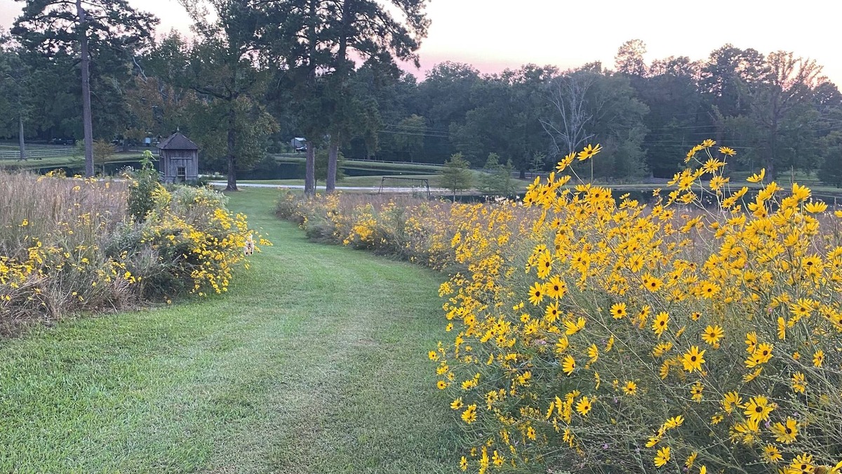 Pineville Other | Buster's Barn at Grant Farmn