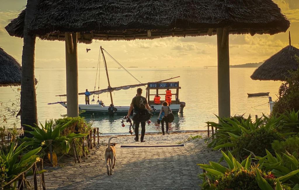 Mafia Island Resort | Butiama Marine Camp