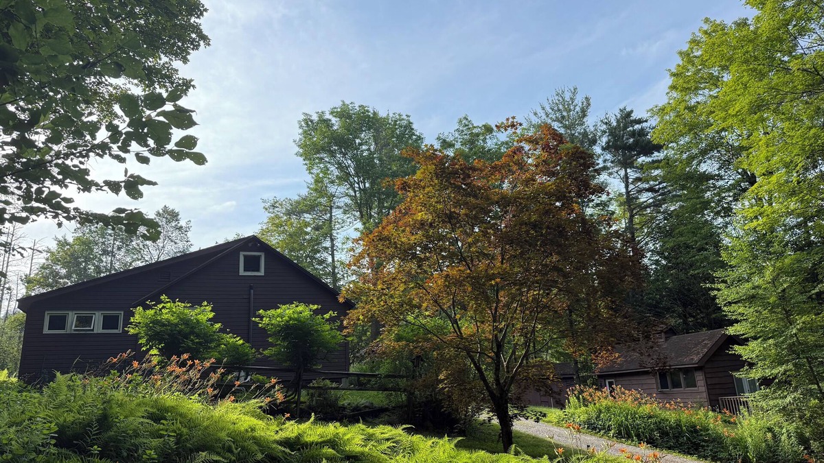 Otis Cabin | Butterfly Bungalow! Charming 2-bedroom Cabin and Studio in delightful Otis, MA