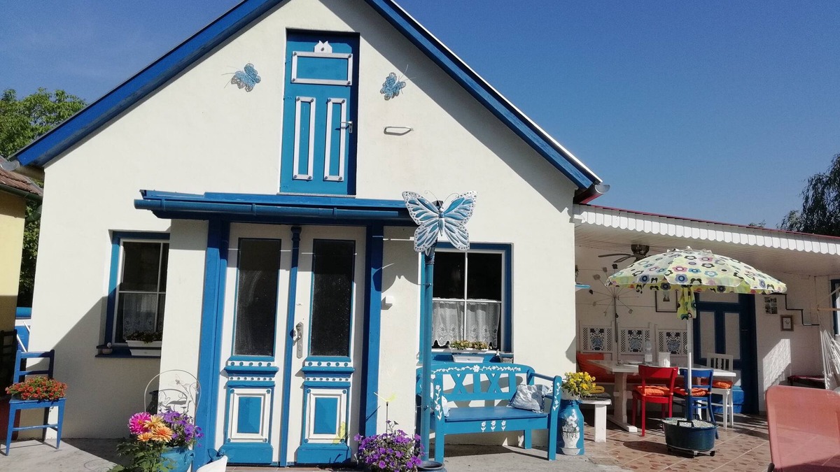 Locs House | Butterfly house