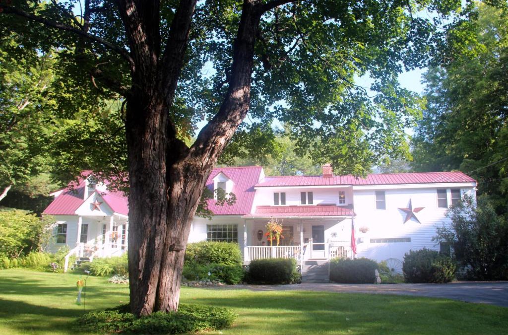 Intervale Bed & Breakfast | Buttonwood Inn on Mount Surprise